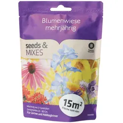 Blumenwiese Mehrjährig