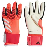 adidas Predator Competition Torwarthandschuhe - Lucid Red / Black / White - 11 1/2