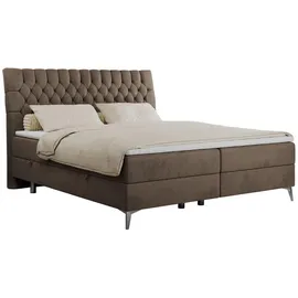MKS Meble MKS Boxbett, Braun, Textil, 2-Sitzer, H3, Rechteckig, 160x200 cm Schlafzimmer, Betten, Boxspringbetten
