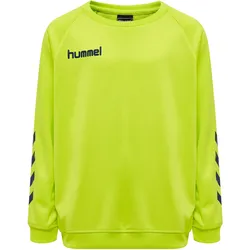 Poly Sweatshirt Raglanärmel Hmlpromo Multisport Kinder HUMMEL anisgrün|GRÜN|GRÜN 100 cm 4J