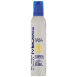 HAIR HAUS Super Brillant Color Mousse hellblond gold 250 ml