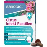 Sanotact Cistus Infekt Pastillen 30 St