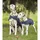 Waldhausen Regen-Hundedecke Blau 35 cm