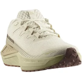 Salomon Drx Defy Grvl Herren Vanilla Ice/Green Haze/White Pepper 46 2/3