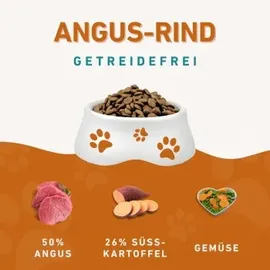Wildfang Adult Angus Rind 2 x 6 kg