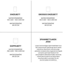 SCHIESSER Spannbettlaken Jersey 100 x 200 cm Mint