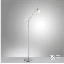 Paul Neuhaus Pino 111 cm x 163 cm grau