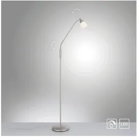 Paul Neuhaus Pino 111 cm x 163 cm grau