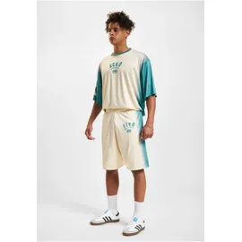 Ecko Unltd. Faded Soccer Short - grün),