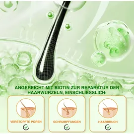 Aliver P-Beauty 3-in-1 Haarwachstum Shampoo 300 ml