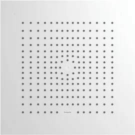 Hansgrohe Raindance E Kopfbrause 400x400mm (26253700)