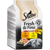 Sheba 72 x 50g Fresh & Fine Huhn & Truthahn in Sauce Sheba Katzenfutter nass