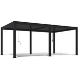 Weide Pavillon & 600x255x400 cm