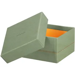 Rhodiarama Set mit 5 ineinander schachtelbaren Boxen aus Kunstleder, 44x34x16cm - Seladon 194565C
