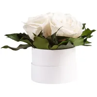ROSEMARIE SCHULZ Heidelberg Infinity Rosenbox weiß rund konservierte Blumen