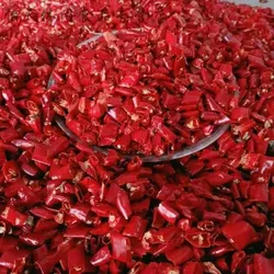 KSW Chilisegment (scharf) 1Kg