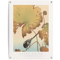 Poster REINDERS "Bachstelze auf Lotuspflanze", braun (farbe bild(er): braun), B:60cm H:80cm T:0,1cm, Leinwand, Bilder
