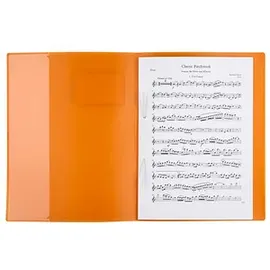 Brunnen Schnellhefter A4 Orange