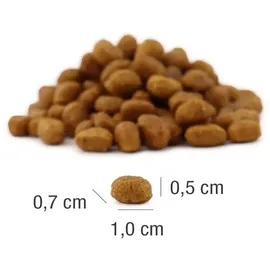 Platinum MeatCrisp Adult Fish 1,5 kg