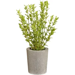 Kunstpflanze CREATIV GREEN "Thymian", grün, H:35cm Ø:15cm, Kunststoff, Kunstpflanzen