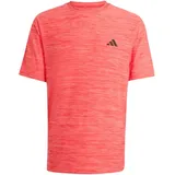 adidas Workout Essentials Flex Trainingsshirt Pure Ruby M