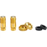 BBB CoreCap Ventilkappen-Set 2 Stück gold