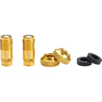 BBB CoreCap Ventilkappen-Set 2 Stück gold