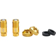 BBB CoreCap Ventilkappen-Set 2 Stück gold