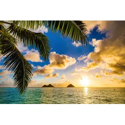 Fototapete PAPERMOON "STRAND-PALMEN SONNENUNTERGANG MEER KARIBIK INSEL PALME", bunt, B:3,50m L:2,60m, Vlies, Tapeten
