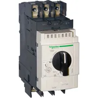 Schneider Electric GV3P256 Motorschutzschalter 1St.