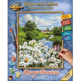 Schipper 609240899 - Malen nach Zahlen, Meisterklasse Klassiker, Margeritenwiese, 24x30cm