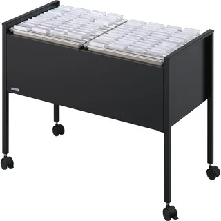 Durable Durable, Hängemappenwagen Economy 100 DUO A4 (A4)