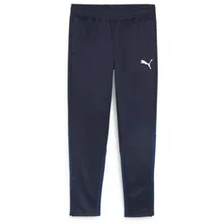 Puma Teamgoal Training Pant puma navy-puma white-persian blue (06) S