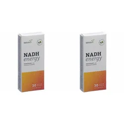 Sanasis Nadh Energie