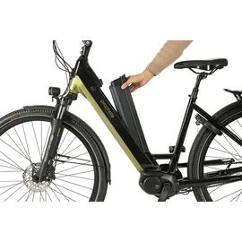Prophete Geniesser 6.0 28 Zoll RH 54 cm Schwarz
