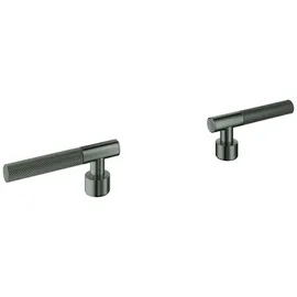 Grohe Hebelgriffe Atrio Private Collection 48646 48646AL0
