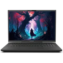 Captiva Highend Gaming I81-491 17,3" Core i9-14900HX 64 GB RAM 1 TB SSD RTX 4070
