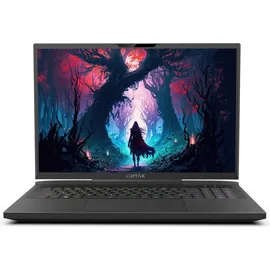 Captiva Highend Gaming I81-491 17,3" Core i9-14900HX 64 GB RAM 1 TB SSD RTX 4070