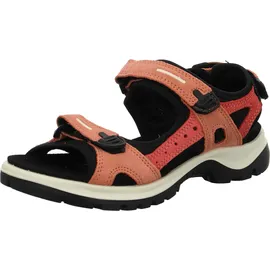 ECCO Offroad Damen burnt coal/spiced coral 41