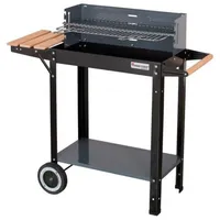 Master Grill Rechteckiger Grill Mg909