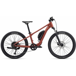 Giant Talon E+ Junior 24 2022