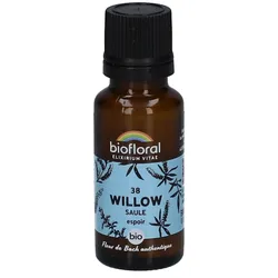 Biofloral 38 Weide - Saule