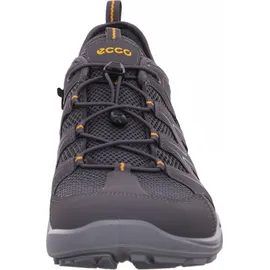 ECCO Terracruise LT Herren Grau 42