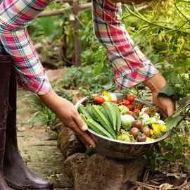 ogród start Kaliumdünger Gemüsedünger Rasendünger 2 kg