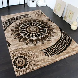 Teppich PACO HOME "Tibesti 447", braun, B:160cm H:15mm L:230cm, Kunstfaser, Teppiche, Kurzflor, gewebt, Ornamente in dezenten Farbtönen