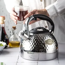 Klausberg 3,0l Stahlkessel mit dickem Boden KB7644 - Silber