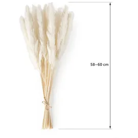 Blumtal Trockenblumen, weiß Naturmaterialien, 60 cm, Dekoration, Blumen - Zubehör, Trockenblumen
