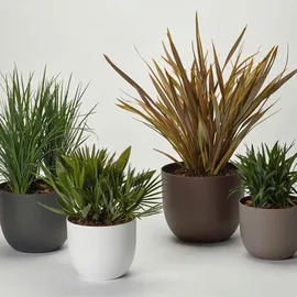 Euro3Plast Rio Greener 40 x 32,5 cm Rost