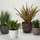 Euro3Plast Rio Greener 40 x 32,5 cm Rost