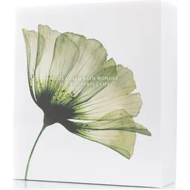 RITUALS The Ritual of Jing Geschenkset M 2024